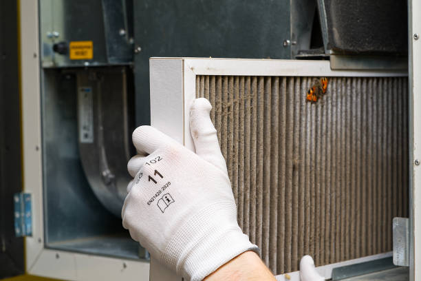 Best Air Duct Mold Removal  in Grayslake, IL