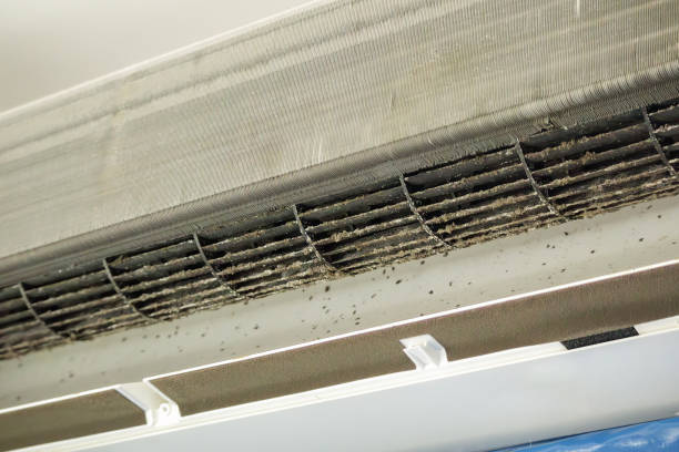 Best HVAC Duct Inspection Services  in Grayslake, IL