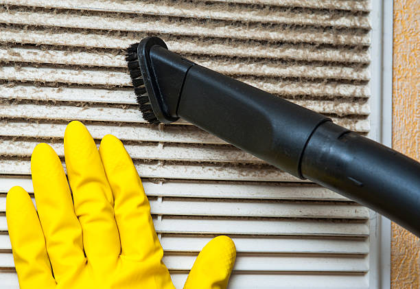 Best Home Air Vent Cleaning  in Grayslake, IL